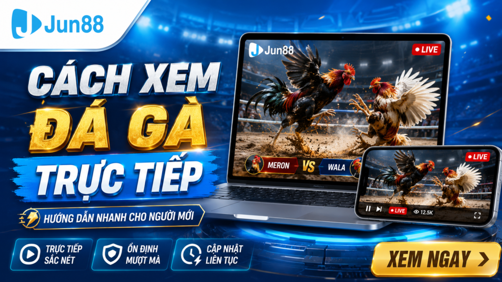 Chi tiết cách xem đá gà trực tại Jun88