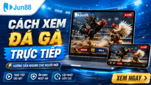 Chi tiết cách xem đá gà trực tại Jun88