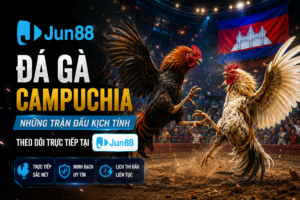 Chi tiết xem đá gà campuchia của Jun88