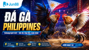 Chi tiết đá gà Philippines tại Jun88