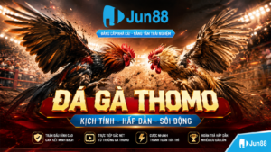 Hướng dẫn chơi đá gà thomo tại Jun88
